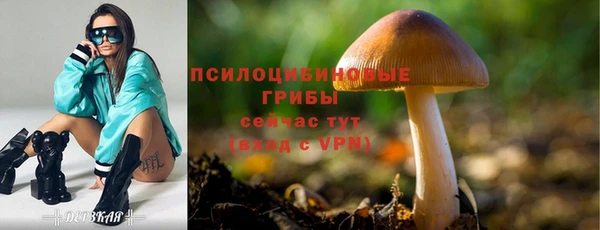 PSILOCYBIN Верхнеуральск